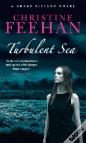 Capa do artigo Turbulent Sea