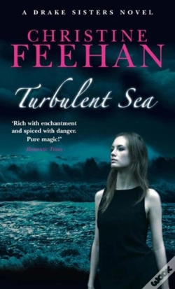 Capa do artigo Turbulent Sea