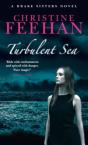Turbulent Sea - Preview