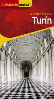Capa do artigo Turin