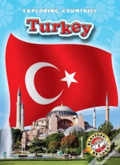 Capa do artigo Turkey