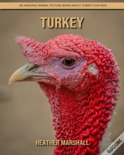 Capa do artigo Turkey