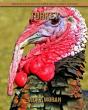 Turkey - Preview