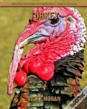 Capa do artigo Turkey