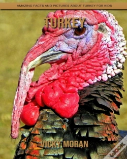 Capa do artigo Turkey