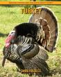 Turkey - Preview