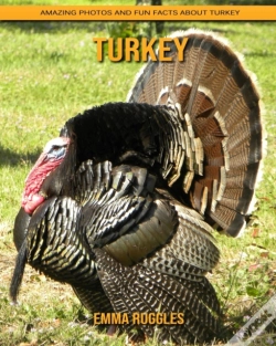 Capa do artigo Turkey