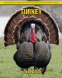 Turkey - Preview