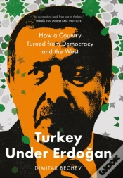 Capa do artigo Turkey Under Erdogan