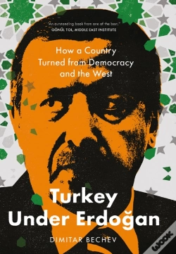 Capa do artigo Turkey Under Erdogan