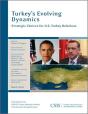 Turkey'S Evolving Dynamics - Preview