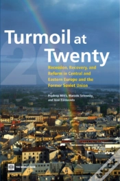 Capa do artigo Turmoil At Twenty