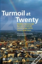 Capa do artigo Turmoil At Twenty