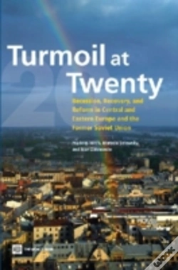 Capa do artigo Turmoil At Twenty