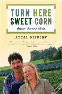 Capa do artigo Turn Here Sweet Corn