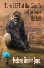 Turn Left At The Gorilla And Go Down The Hall - Preview