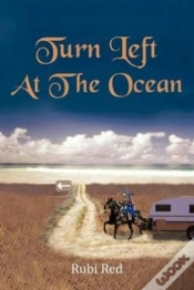 Capa do artigo Turn Left At The Ocean
