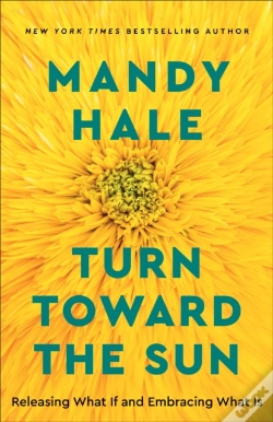 Capa do artigo Turn Toward The Sun