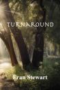 Turnaround - Preview