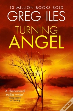 Capa do artigo Turning Angel