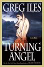 Turning Angel - Preview