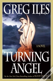 Capa do artigo Turning Angel