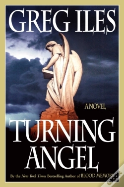 Capa do artigo Turning Angel
