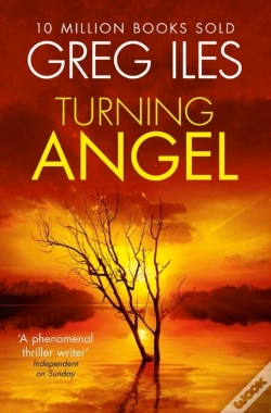Capa do artigo Turning Angel