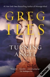 Capa do artigo Turning Angel