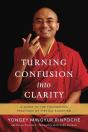 Turning Confusion Into Clarity - Preview