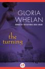 Turning - Preview