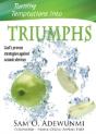 Turning Temptations Into Triumphs - Preview