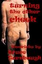 Turning The Other Cheek - Preview