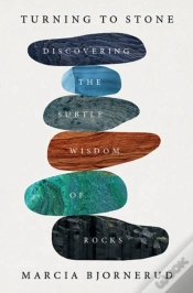 Capa do artigo Turning To Stone