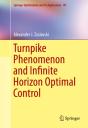 Turnpike Phenomenon And Infinite Horizon Optimal Control - Preview