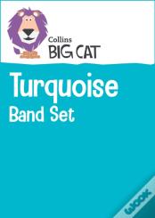 Turquoise Starter Set