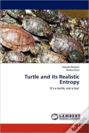 Capa do artigo Turtle And Its Realistic Entropy