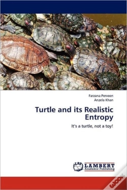 Capa do artigo Turtle And Its Realistic Entropy