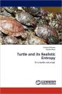 Turtle And Its Realistic Entropy - Preview