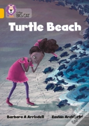 Capa do artigo Turtle Beach