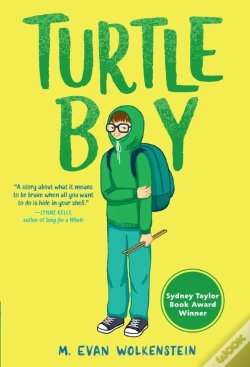 Capa do artigo Turtle Boy