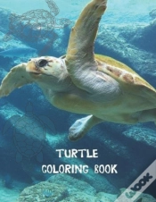 Capa do artigo Turtle Coloring Book