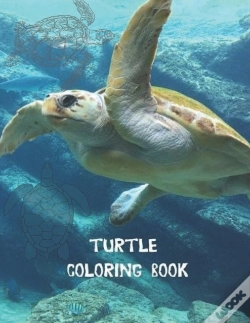 Capa do artigo Turtle Coloring Book