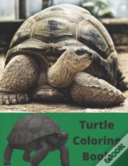 Turtle Coloring Book