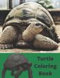 Turtle Coloring Book - Preview
