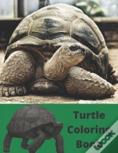Turtle Coloring Book