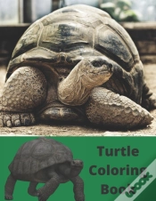 Capa do artigo Turtle Coloring Book