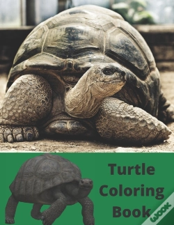 Capa do artigo Turtle Coloring Book