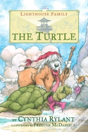 Capa do artigo Turtle