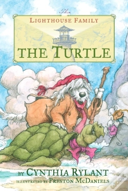 Capa do artigo Turtle